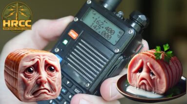 Transmitting Without A Ham Radio License & #sadham